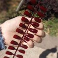 thumbnail image 1 of 24pcs Solid-Color False Nail Strips Long Ballet Nail Strips,W1B7 K0N4, 1 of 1