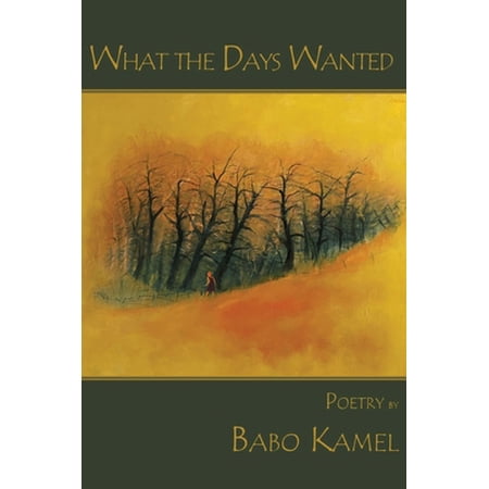What the Days Wanted (Paperback)