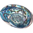 thumbnail image 2 of Natural Abalone Seashell Peeled Conch Incense Holder Crafts For Office Decor, 2 of 5