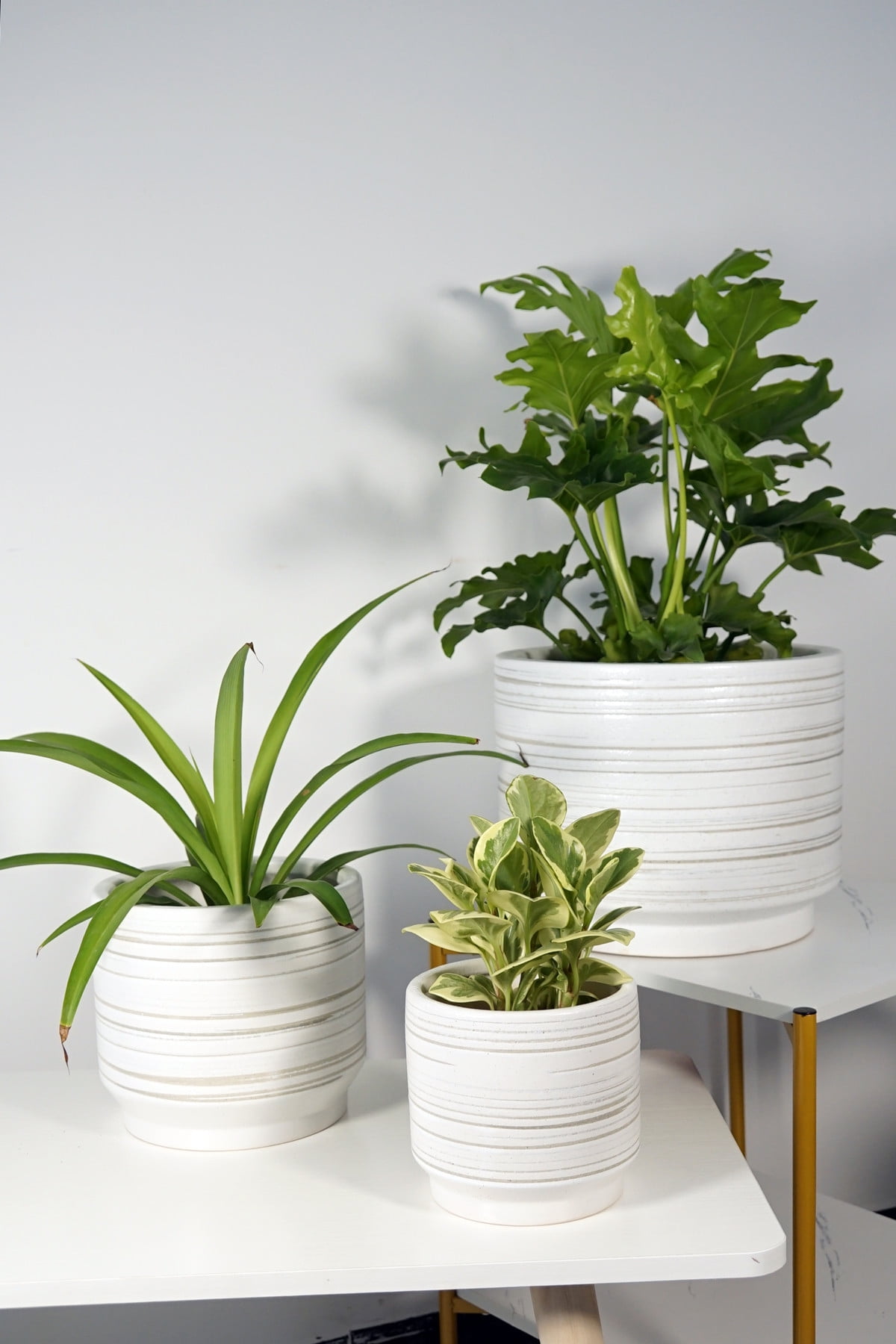 Pot Salinas 2-Tone Tall Planter Med 14x21 Asst