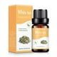 thumbnail image 1 of Clearance, Aromatherapy Water Soluble Oil Aromatherapy Suitable For Humidifier 10ml, 1 of 5