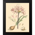 thumbnail image 2 of Miller, John 12x14 Black Modern Framed Museum Art Print Titled - Blushing Pink Florals II, 2 of 5