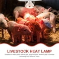 thumbnail image 3 of Livestock Heat Lamp Mini Pig Use Heat Lamp Heat Preservation Lamp for Poultry Livestock Lamp Heater, 3 of 9