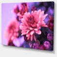 thumbnail image 2 of Chrysanthème Automnal Coloré - Impression sur Toile Florale, 2 of 4