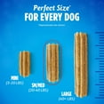 thumbnail image 4 of Daily Oral Care Dog Treats for Small and Medium Dogs, Chewy Dental Treat to Freshen Breath and Fight Tartar, Chicken Flavor - 40 ct. Pouch, 4 of 4