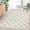 Beige, variant on Checkered Rug Carpet 3x5Ft Modern Abstract Zebra Buffalo Plaid Bedroom Area Rug, Chic Stripe and Checkerboard, Farmhouse Living Room Office Indoor Home Decor, Soft Nonslip Washable, Green