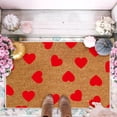 thumbnail image 3 of Door Mat, Non-Slip Absorbent Entrance Rug, Soft Polyester Floor Mat for Indoor Use, Low-Profile Carpet for Front Door, Bathroom, Hallway, Living Room and Kitchen^, 3 of 3