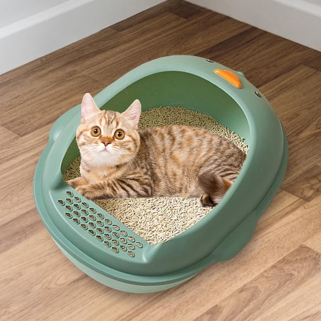 Caja de arena Fernando para gatos de Interior Baño Profundo portátil verde