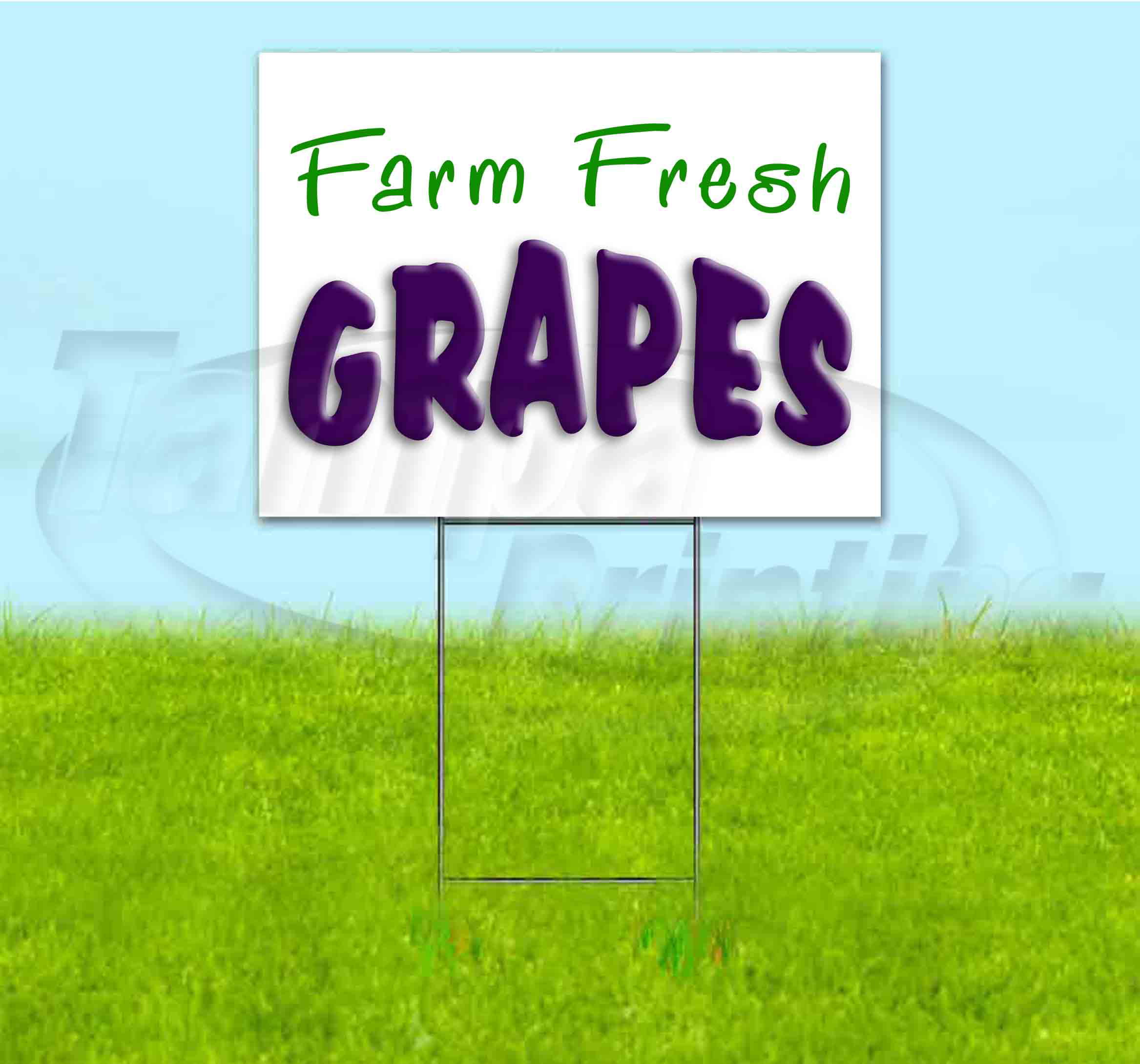Fresh Grapes Black Red Corrugated Plastic Yard Sign /Free Stakes 