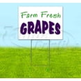 thumbnail image 1 of Farm Fresh Grapes (18" x 24") Yard Sign, Includes Metal Step Stake, 1 of 6
