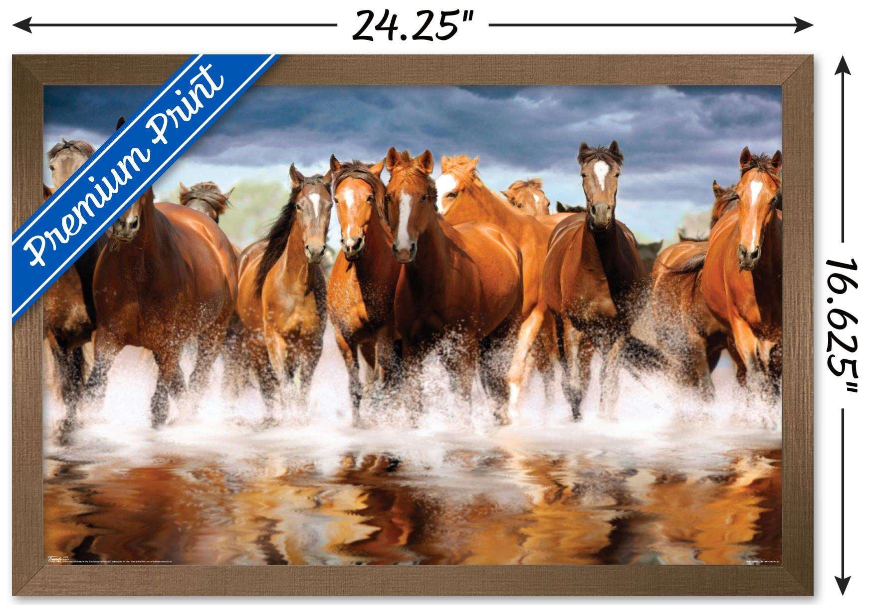 Horses Wall Poster, 14.725" x 22.375", Framed
