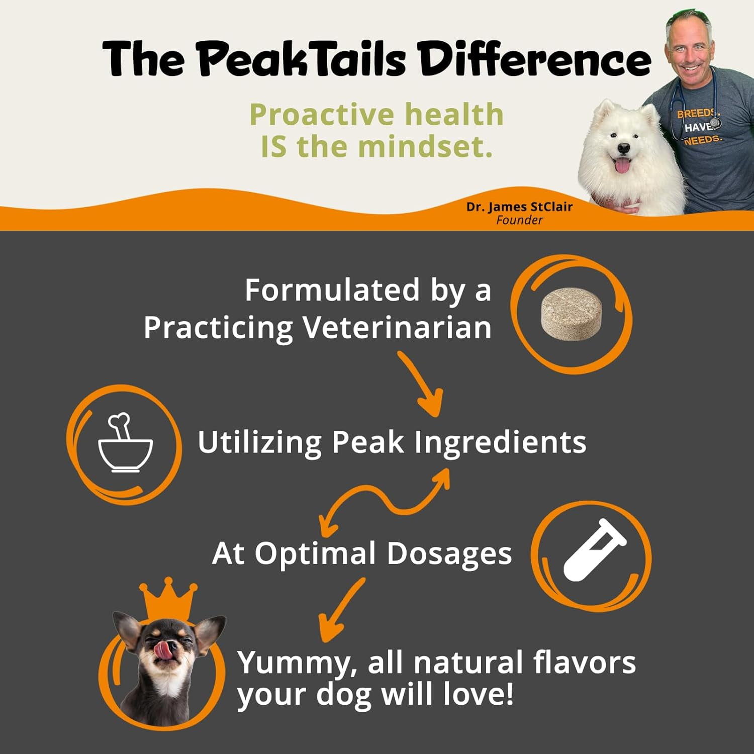 Kala Health PeakTails Skin & Coat Support for Dogs – 150 Chewable Tablets with MSM, Fish Oil, Omega-3 & Omega-6 – Supports Healthy Skin, Shiny Coat
