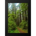 thumbnail image 2 of Moore, Brian 13x18 Black Modern Framed Museum Art Print Titled - Hiking Trail II, 2 of 5