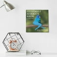 HUANGBAO 2025 Bird Calendar Extremely Accurate Birds by Tommy Siegel