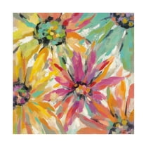 Trademark Fine Art 'Abstracted Petals II' Canvas Art by Silvia Vassileva