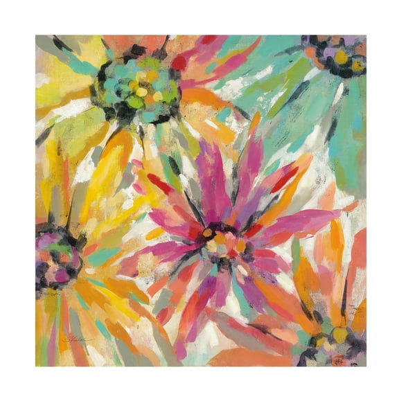 Trademark Fine Art 'Abstracted Petals II' Canvas Art by Silvia Vassileva