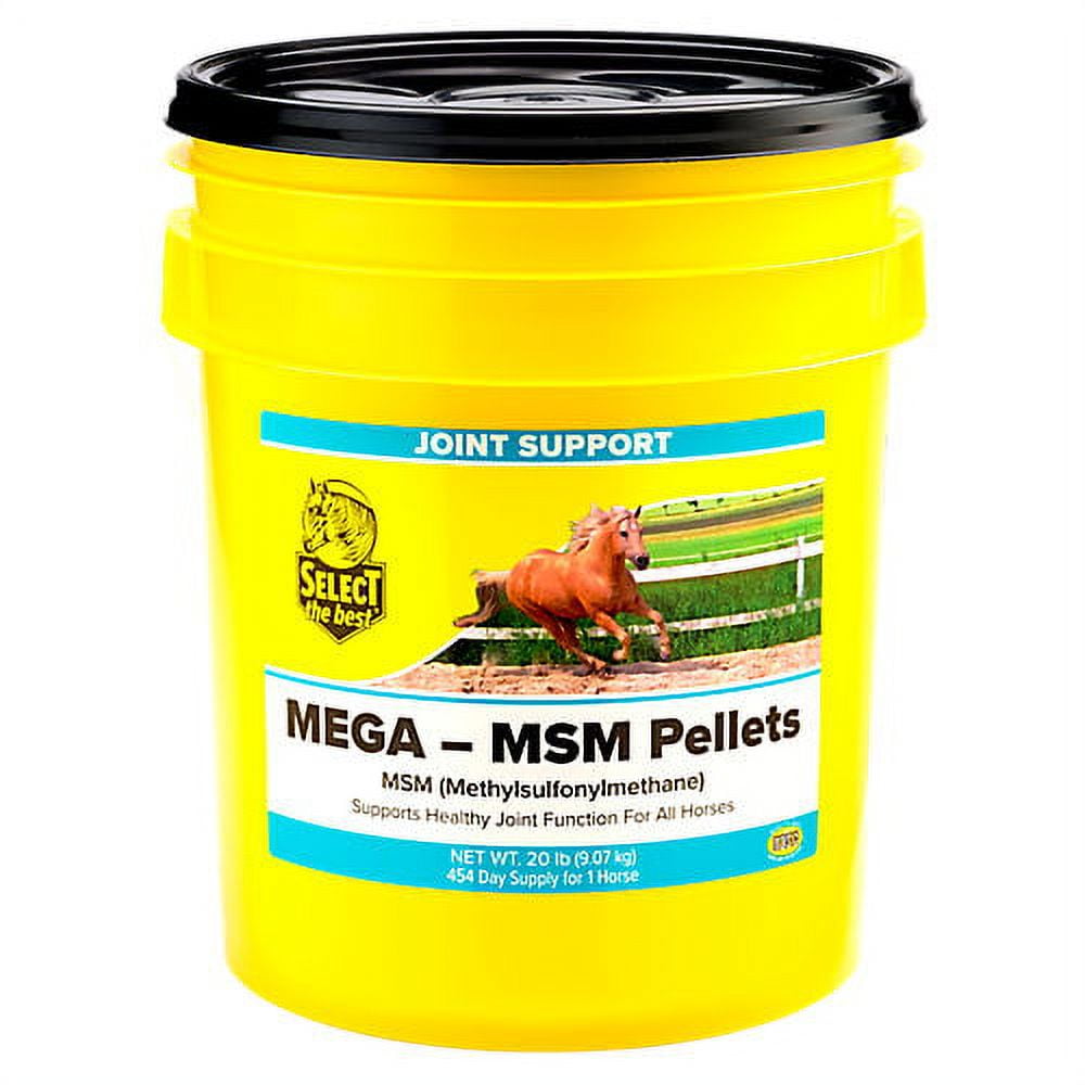 Select the Best Mega-MSM Pellets 20 lb