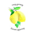 thumbnail image 2 of LightBoxJournal 15x15 Black Ornate Wood Framed with Double Matting Museum Art Print Titled - Easy Peasy Lemon Kitchen 2, 2 of 4