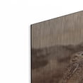 thumbnail image 2 of Luxe Metal Art 'Desert Owl  ' by Lori Deiter, Metal Wall Art, 36"x24", 2 of 9