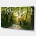 thumbnail image 2 of Designart 'Evening in Green Forest ' Large landscape Canvas Art Print, 2 of 3