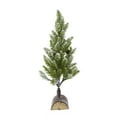 thumbnail image 3 of Home Decor Accessories Set of 2, 13.5" christmas PVC Tree On Wood Base With Snow,Household Decor Items, 3 of 12
