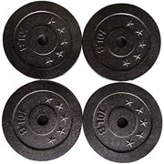 GADINO Adjustable Cast Iron Dumbbells Extra Weight Plates 10 lbs (Set of 4) Total 40 lbs