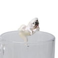 thumbnail image 2 of Fairnull Realistic Mini Pug Dog Figurine Hanging on Cup Rim DIY Fairy Garden Accessory, 2 of 8