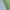 Green, variant on BADHUB Womens Gradient Capri Leggings,Capri Leggings for Women High Waist Yoga Workout Gym Pants Summer Stretch Knee Length Leggings Athletic Capris