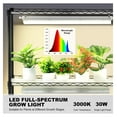 thumbnail image 3 of YYDSBNHH 4 Tier Plant Stand with 90W Grow Light, Full 3 Modes, Adjustable Metal Shelf for Seed Starting & Indoor Gardening, 3 of 7