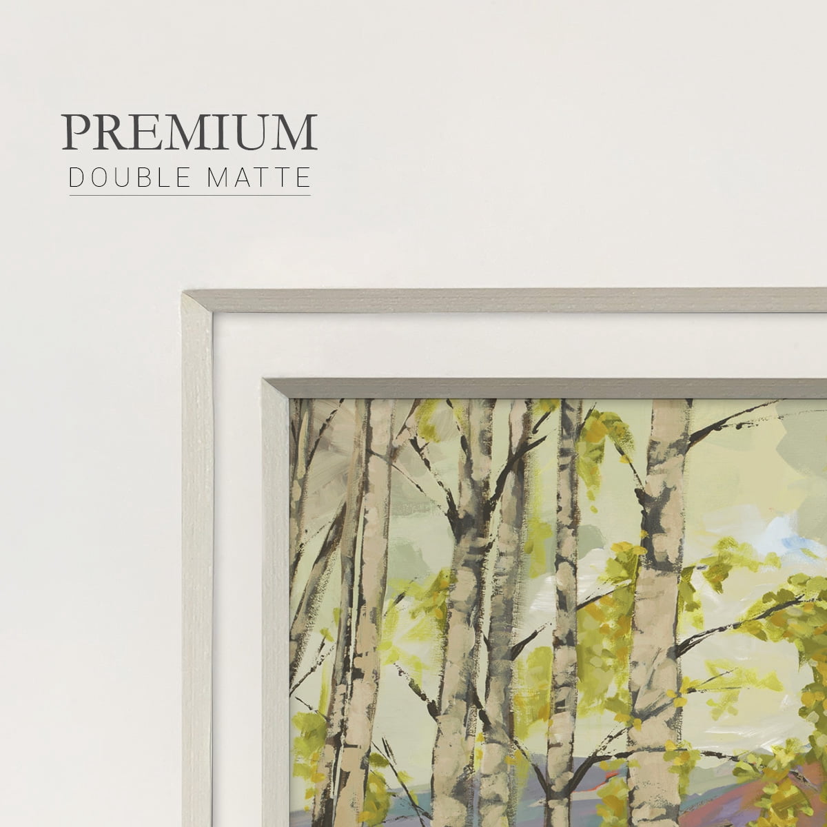 Birch Stand-Premium Framed Print