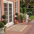 thumbnail image 5 of Safavieh Courtyard Becky Geometric Indoor/Outdoor Area Rug, Brown, 4' x 4' Square, 5 of 14