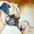 thumbnail image 2 of Baldwin, Marcia 12x12 White Modern Wood Framed Museum Art Print Titled - Pug 2, 2 of 4