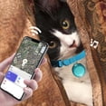 thumbnail image 6 of Cat Collar with Airtag Holder Pink Breakaway Cat Collar Cat Gps Tracker Collar for Everyday Pet Safety Great Gift for Pet Owners, 6 of 6