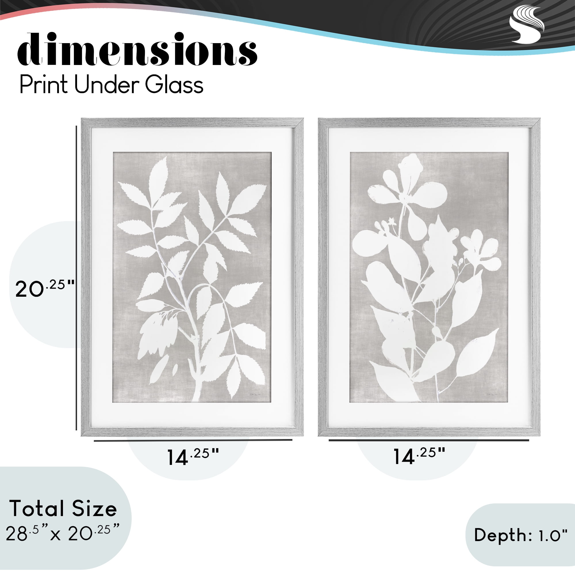 Stupell Industries Grey Foliage Impression 2 Piece Gray Framed Print Under Glass Set, design by Stellar Design Studio