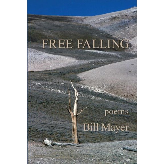 Free Falling (Paperback)