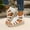 White, variant on Viluyesy Womens Gladiator Sandals, Wide Width Breathable Soft Sole Summer Wedge Shoes Black