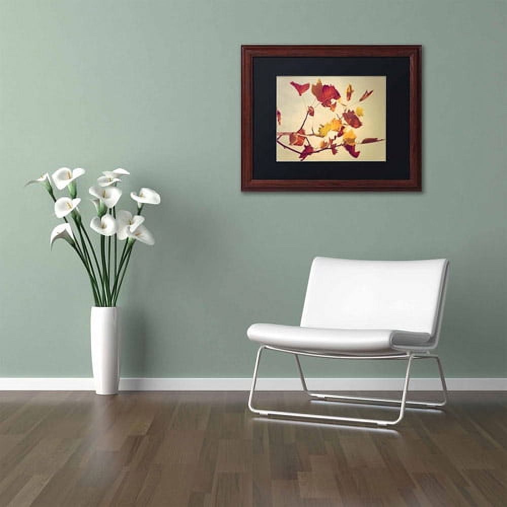 Trademark Fine Art "Still Fall" Canvas Art by Philippe Sainte-Laudy, Black Matte, Wood Frame