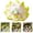 D, variant on Z52LingLing Decoration Miniature Green Nine-Tailed Fox Resin Figurine Mystical Fairy Tale Desktop Ornament