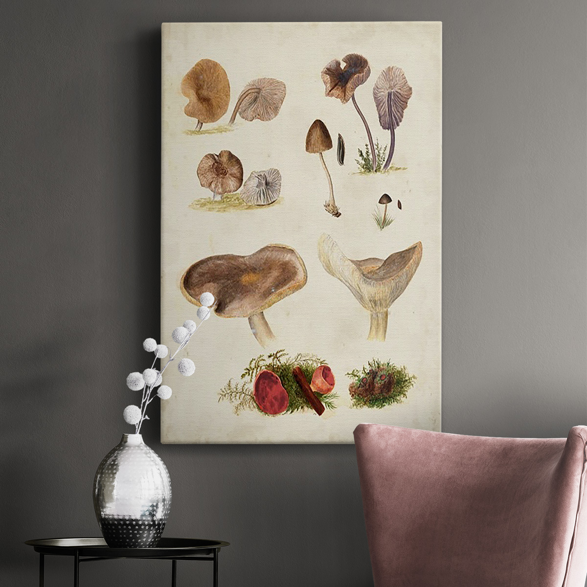 Mushroom Species III Premium Gallery Wrapped Canvas - Ready to Hang