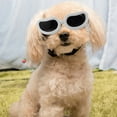 thumbnail image 3 of Lunettes de Protection pour Chiens de Petite Race avec Lunettes Coupe-Vent Réglables et Design Anti-Buée pour Aventures en Plein Air, 3 of 3