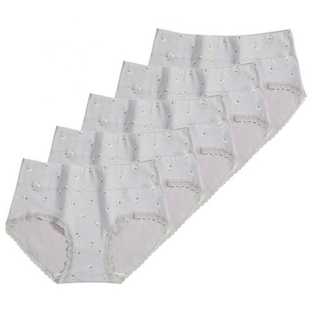 Women s Plus Size Cotton Brief 5-Pack Brief Panty