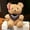 Graduation Bear Gift Under $5 a4, variant on CQCYD Graduation Bear, Class Of 2026 Graduation Gift Stuffed Animal Doll With Diploma And Sash Soft PlushToyFor Kindergarten Elementary Study Teen BoyGirlGraduate