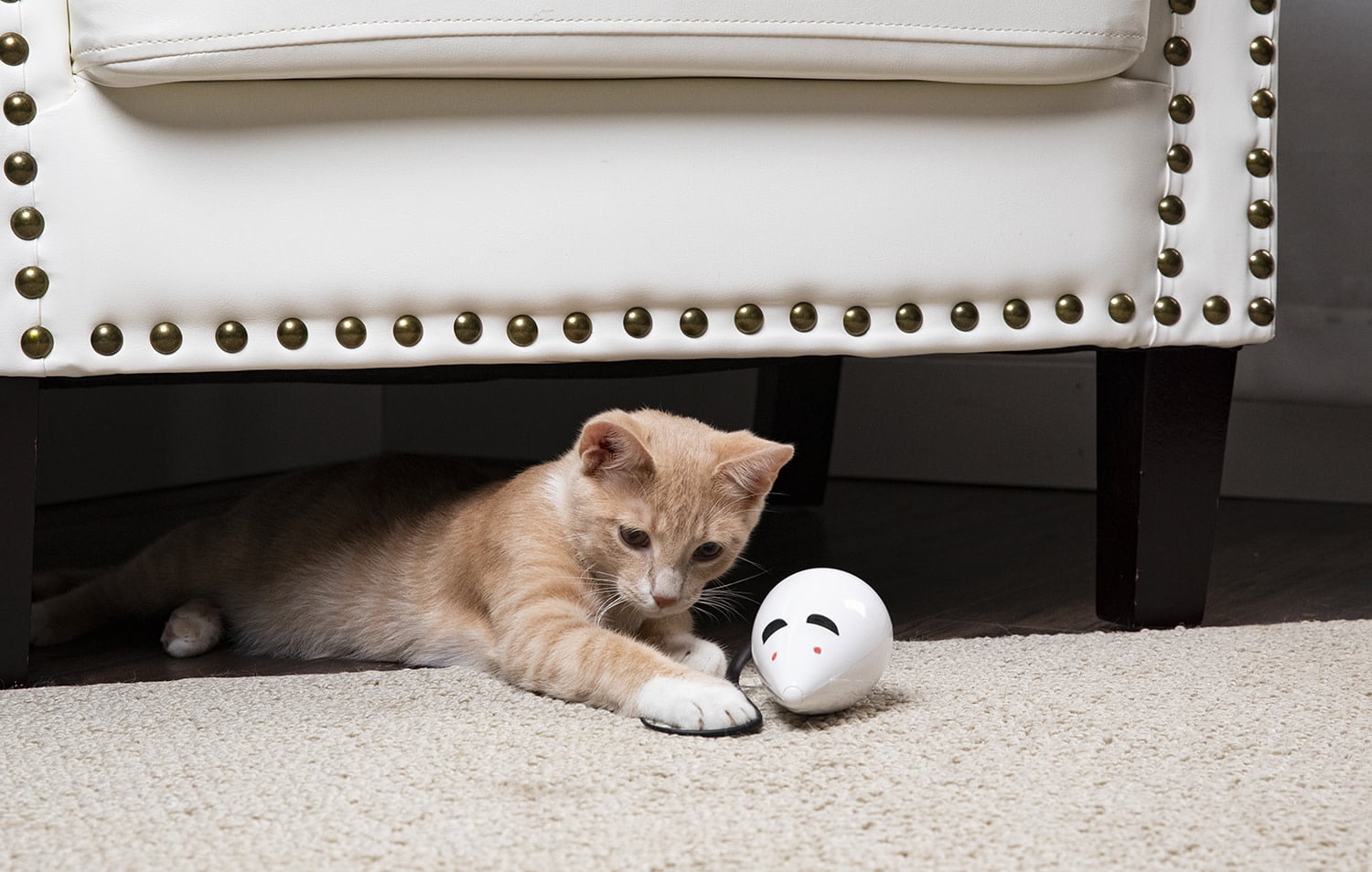 Premier Pet Rolo Rat Automatic Cat Toy - Interactive Toy Moves in Random Directions Providing Long-Lasting, Hands-Free Play, Chase and Exercise - Battery Operated