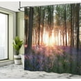 thumbnail image 5 of Ambesonne Forest Shower Curtain, Sunrise Woods in Spring, 69"Wx75"L, Purple Green, 5 of 5