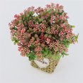 thumbnail image 3 of Cateissary Fruta de simulación de bayas artificiales de 7 ramas, plantas falsas de 5 colores, decoración del hogar para bodas, accesorios de para Plantas Artificiales Rosa Rosa Cateissary HA7109-04B, 3 of 6