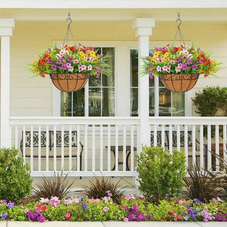 Porch hanging plants discount