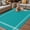 Teal, variant on Outdoor Rug for Patio 4'x6',Birds Silhouette on Rustic Branches Non-Slip Area Rugs Washable Carpet Indoor Rug,Blue Bird Animal on White Non-shedding Floor Mats for Porch Living Room Deck