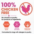 thumbnail image 4 of Dr. Pol® Clinical Food Sensitivities Advanced Novel Protein Salmon Recipe – Hypoallergenic Adult Dog Food, 24 lb Bag, 4 of 8