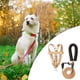 thumbnail image 3 of de Correas de Arnés para Perros Transpirables - Cuerda de para Espalda Del Pecho Arneses para Mascotas Chaleco para Viajes Suministr - Naranja M Colco Chaleco de arnés para cachorros, 3 of 8