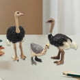 thumbnail image 1 of Figuras de modelos de pájaros animales Hugo coleccionables juguete educativo de aprendizaje decoración, 1 of 10